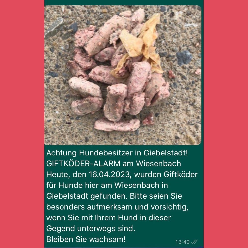 Giftköder-Giftköder-Profilbild