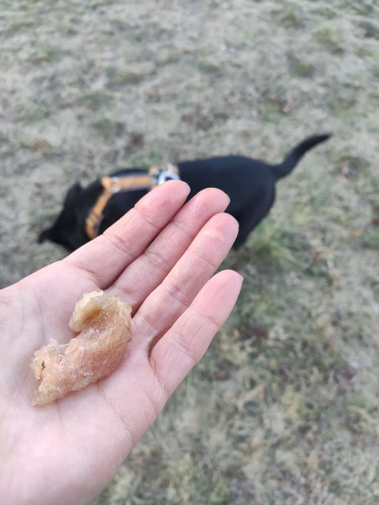 Giftköder-Rohes Fleisch ausgelegt-Profilbild