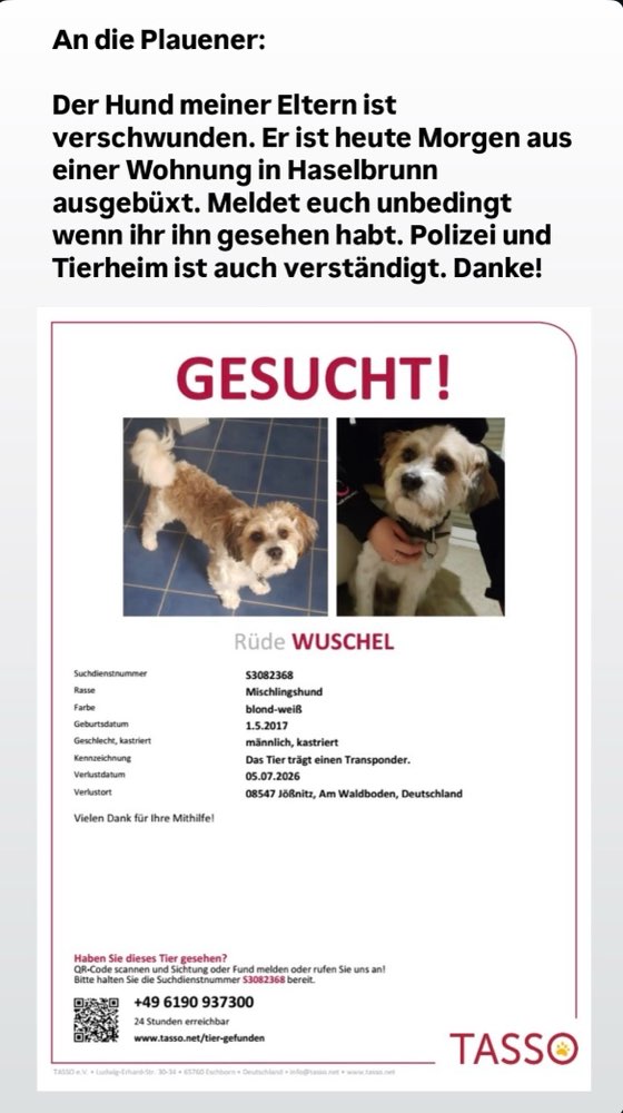 Suchmeldung-Wuschel-Profilbild