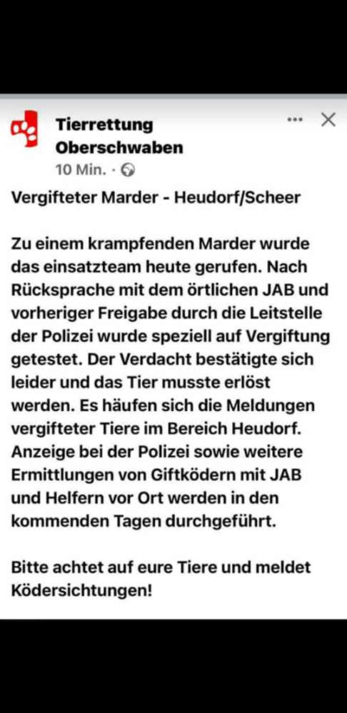 Giftköder-Giftköder-Profilbild