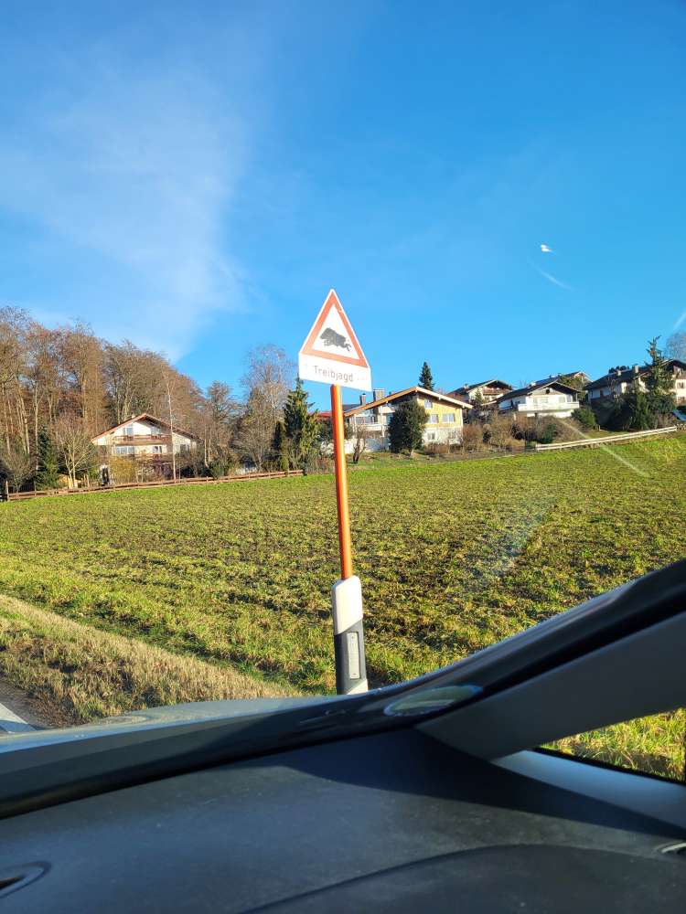 Giftköder-Treibjagd-Profilbild