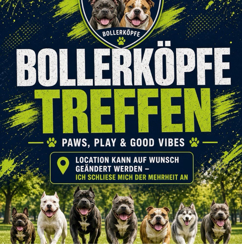 Hundetreffen-🐶🔥 BULLY MEET-UP! 🔥🐶-Profilbild