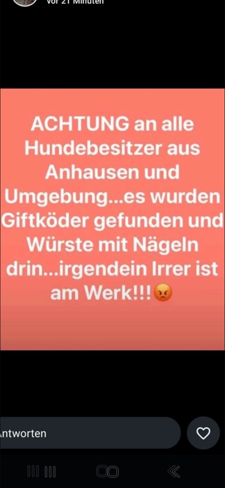 Giftköder-Giftköder-Profilbild
