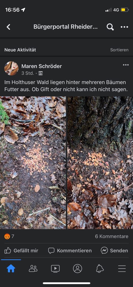 Giftköder-Futter hinter mehreren Bäumen-Profilbild