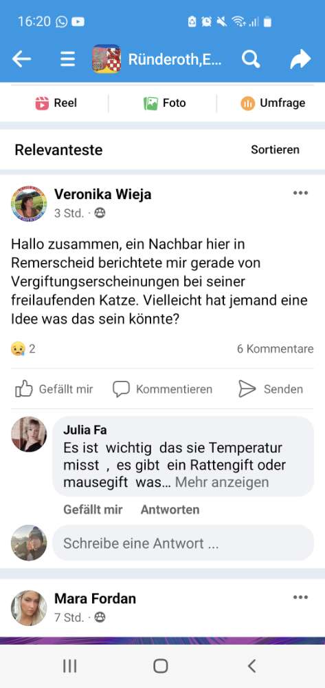 Giftköder-Vergiftete Katze-Profilbild