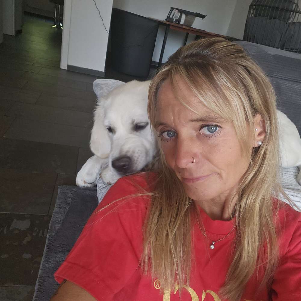 Hundetreffen-Spielfreund gesucht-Profilbild