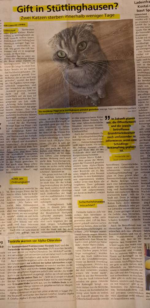 Giftköder-Gift in Stüttinghausen (Lüdenscheid)-Profilbild