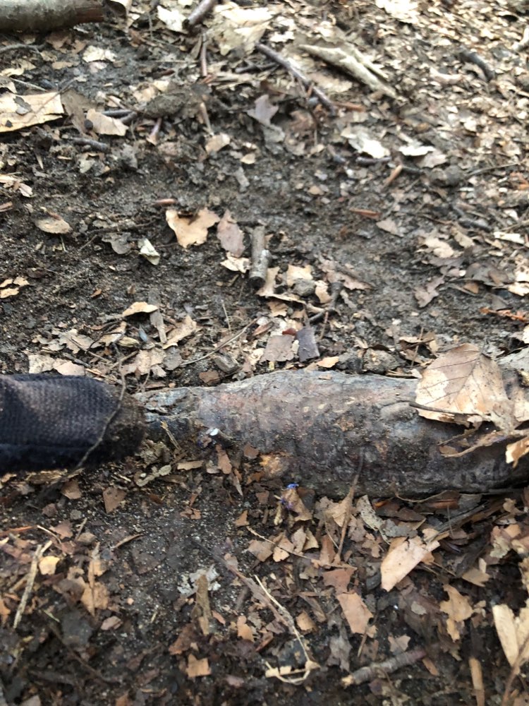 Giftköder-Nägel in Wurzeln!-Profilbild