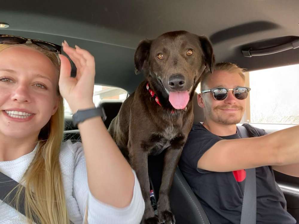 Hundetreffen-Trainingsgassi an der Leine mit unsicherem Rüden-Profilbild