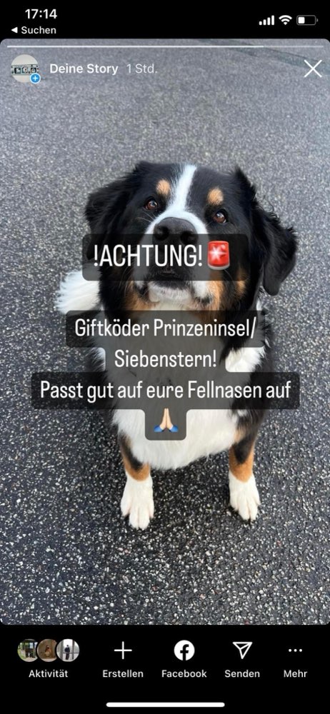 Giftköder-Giftköder-Profilbild