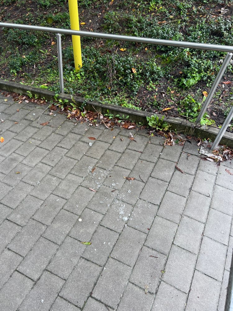 Giftköder-Glas Splitter-Profilbild