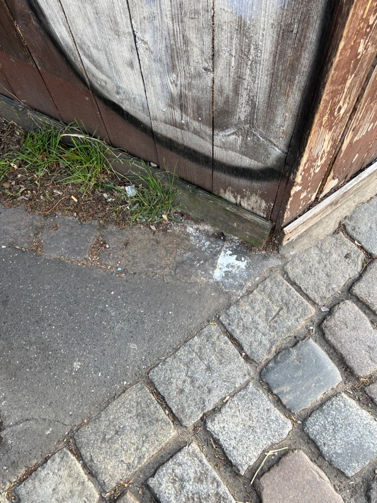 Giftköder-Weißes Pulver entland der Kirchgasse-Profilbild