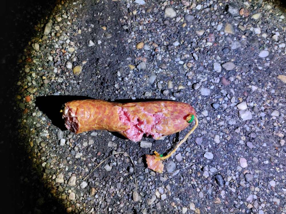 Giftköder-Ganze Wurst gefunden-Profilbild