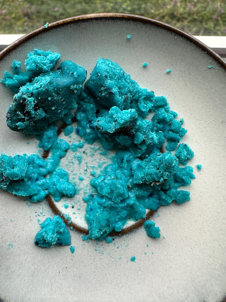 Giftköder-Giftköder in meinem Garten-Profilbild