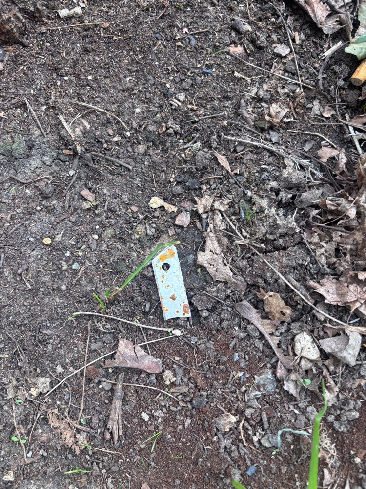 Giftköder-Rasierklinge-Profilbild