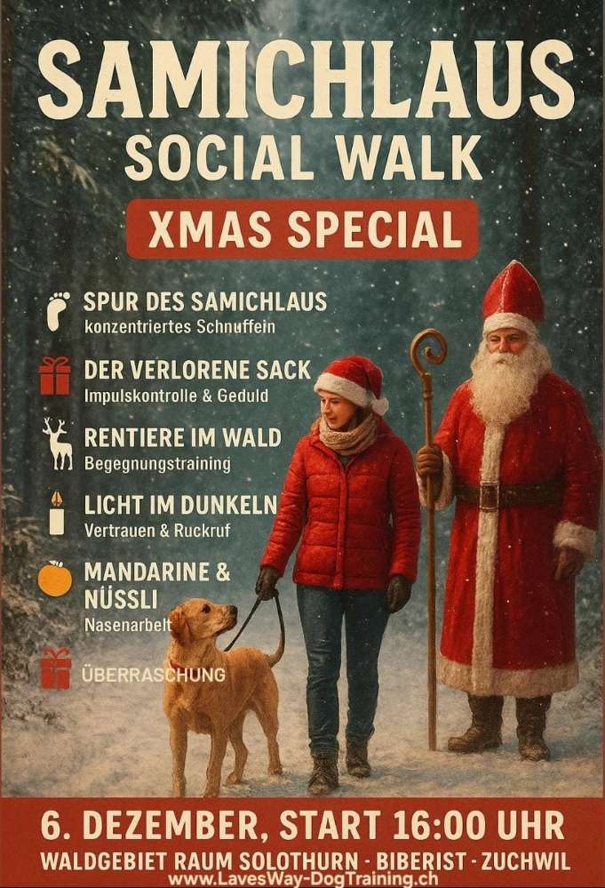 Hundetreffen-Social Walk XMAS Edition-Profilbild