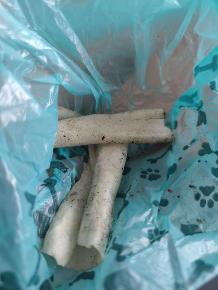 Giftköder-Eventueller Giftköder-Profilbild