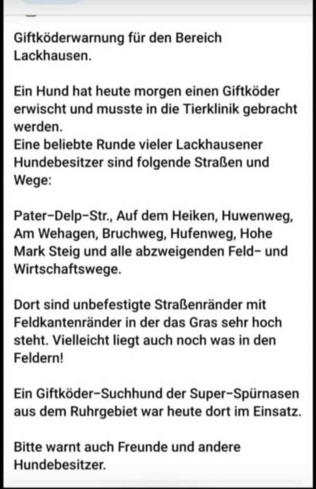 Giftköder-Giftköder-Profilbild