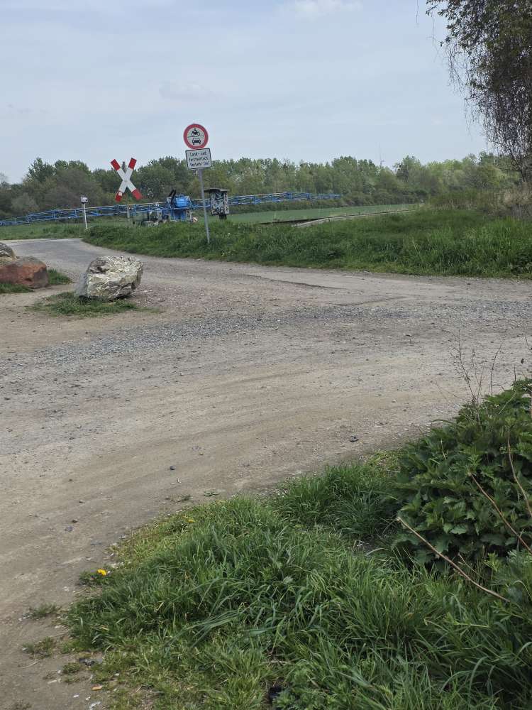 Giftköder-Gespritzes Feld-Profilbild