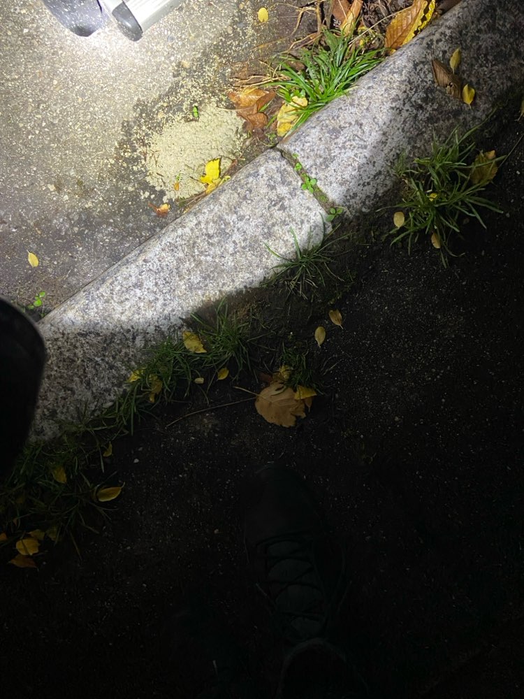 Giftköder-Weißer Pulverhaufen-Profilbild