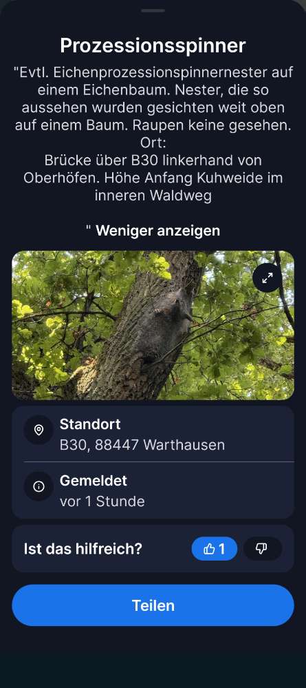 Giftköder-Prozessionsspinner-Profilbild