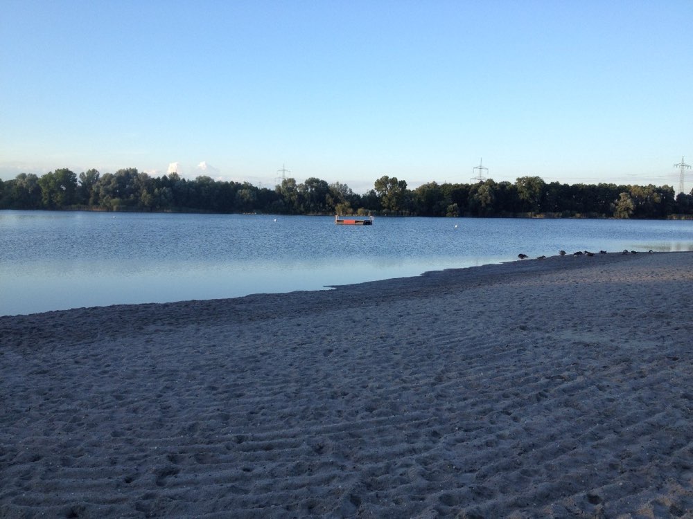 Hundetreffen-Robuste Spielpartner gesucht-Profilbild