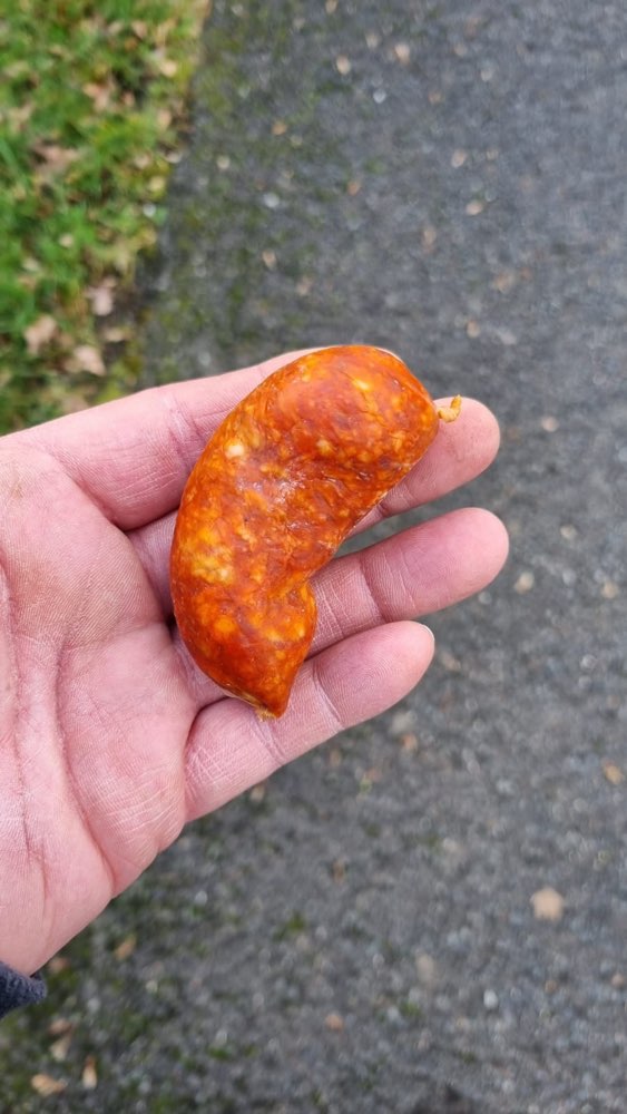 Giftköder-Giftköder von Hund gefressen-Profilbild