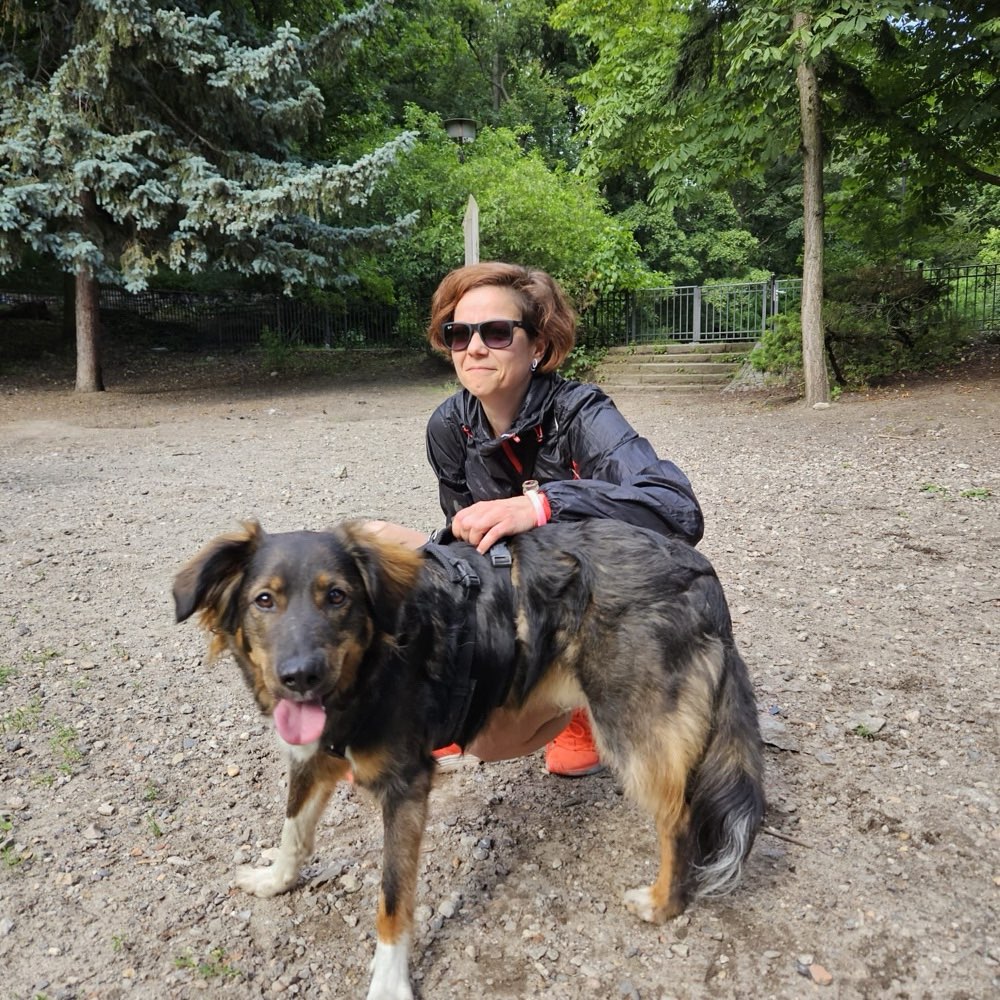 Hundetreffen-Kumpel aus dem Prenzl Berg-Profilbild