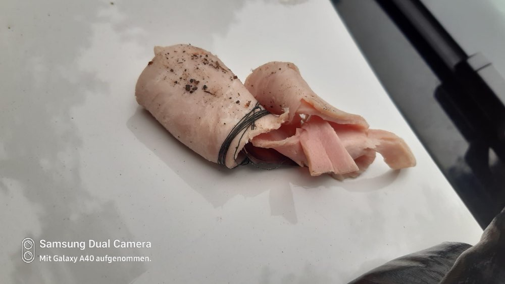 Giftköder-Giftköder-Profilbild