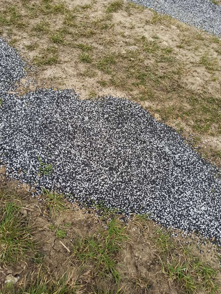 Giftköder-Dünger-Profilbild