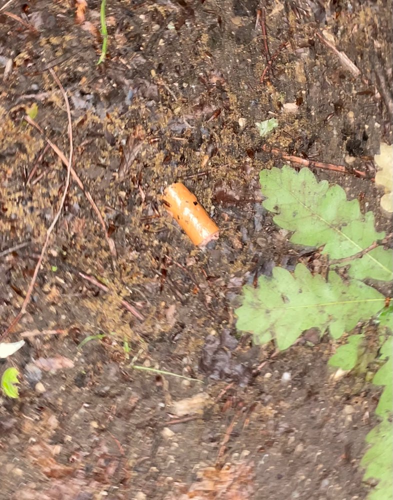 Giftköder-Möglicherweise Giftköder-Profilbild