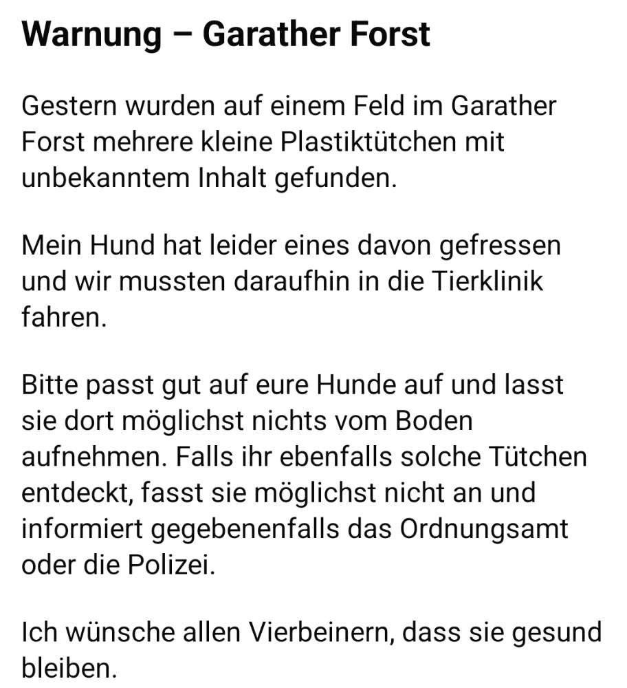 Giftköder-Giftköder in Tüten-Profilbild