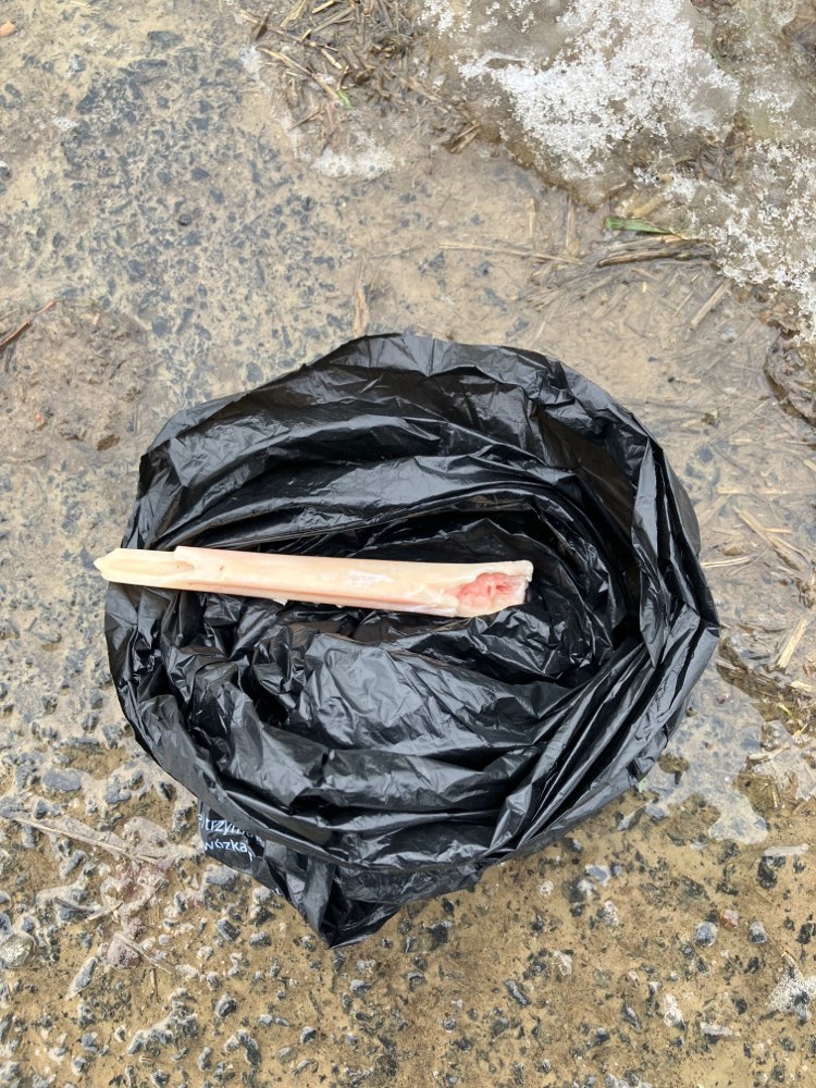 Giftköder-Möglicher Köder Felder OTC-Profilbild