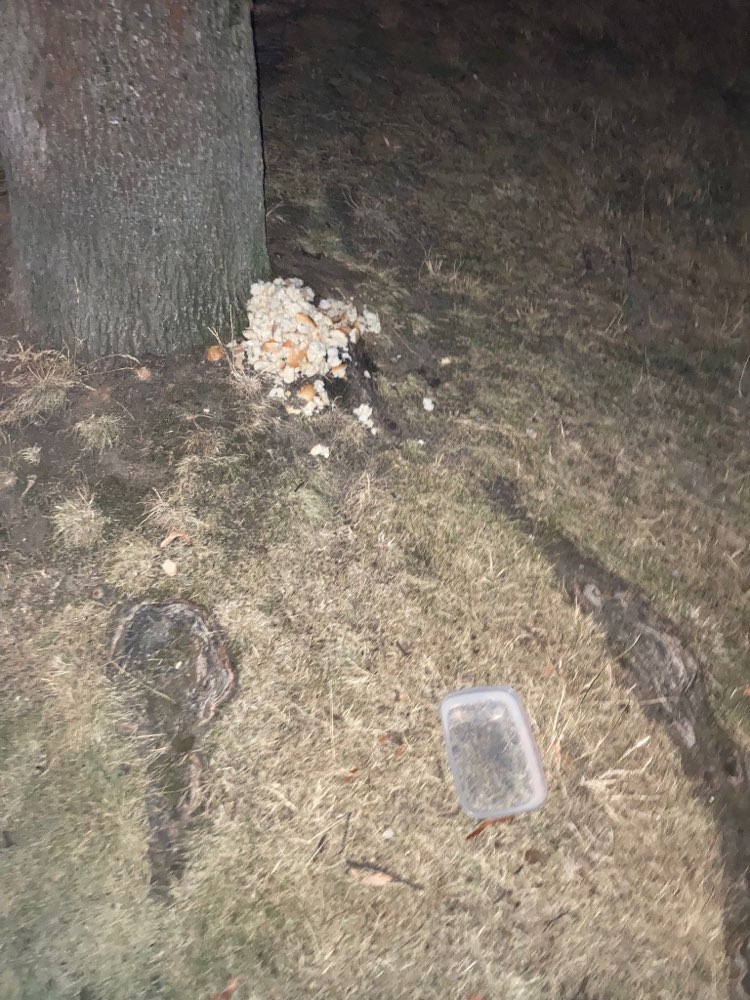 Giftköder-Eventueller Giftköder-Profilbild