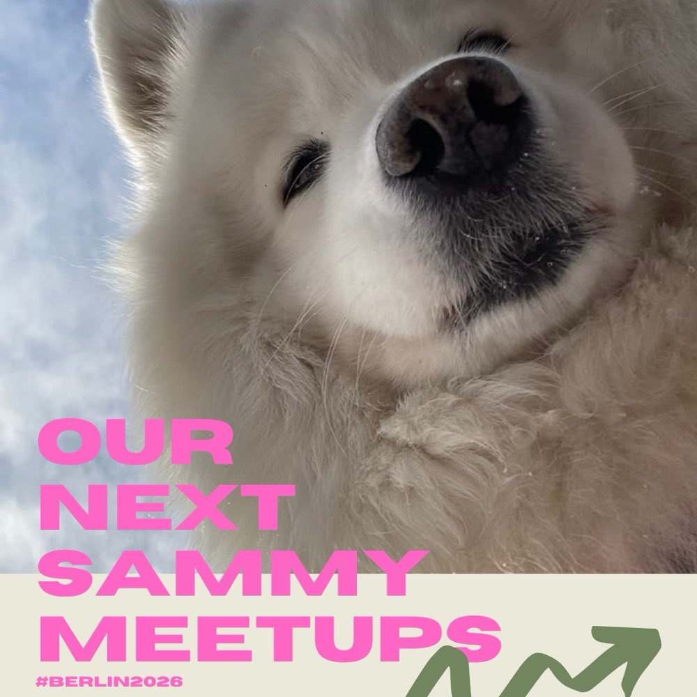 Hundetreffen-Samojeden Berlin @Tempelhofer Feld-Profilbild