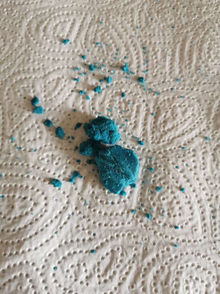 Giftköder-Rattengift?-Profilbild