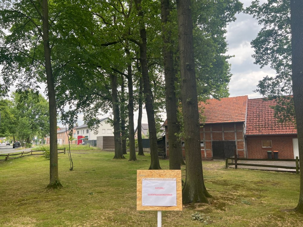 Giftköder-Eichenprozessionspinnen-Profilbild