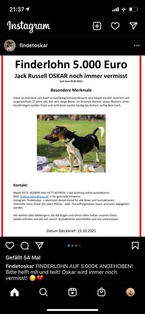 Suchmeldung-OSKAR-Profilbild