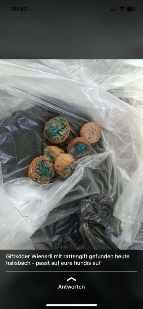 Giftköder-Giftköder-Profilbild