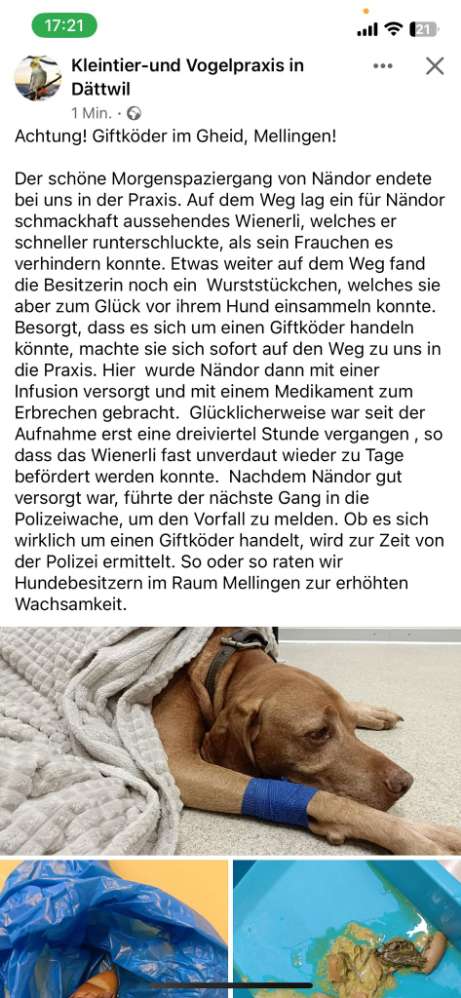 Giftköder-Giftköder-Profilbild