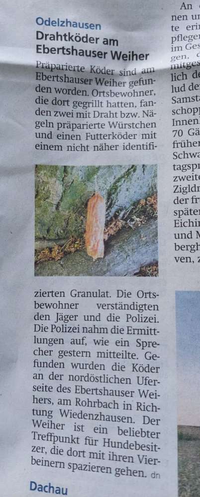 Giftköder-Präparierte Würstchen-Profilbild