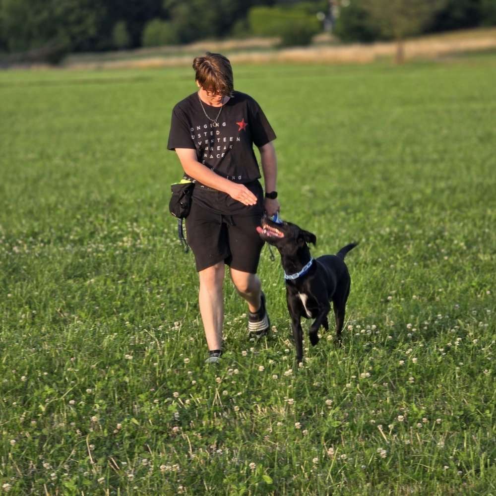 Hundetreffen-Hundefreunde gesucht-Profilbild