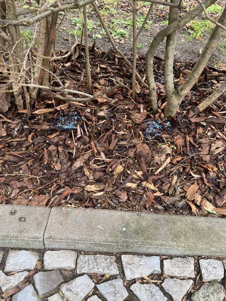 Giftköder-Rattengift, Kugeln für die Pflanzen ?!-Profilbild