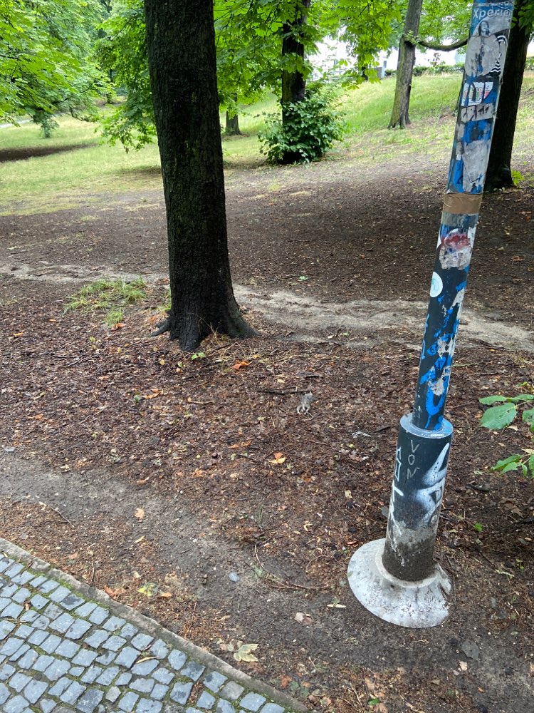 Giftköder-Tote Ratte am Gehweg-Profilbild