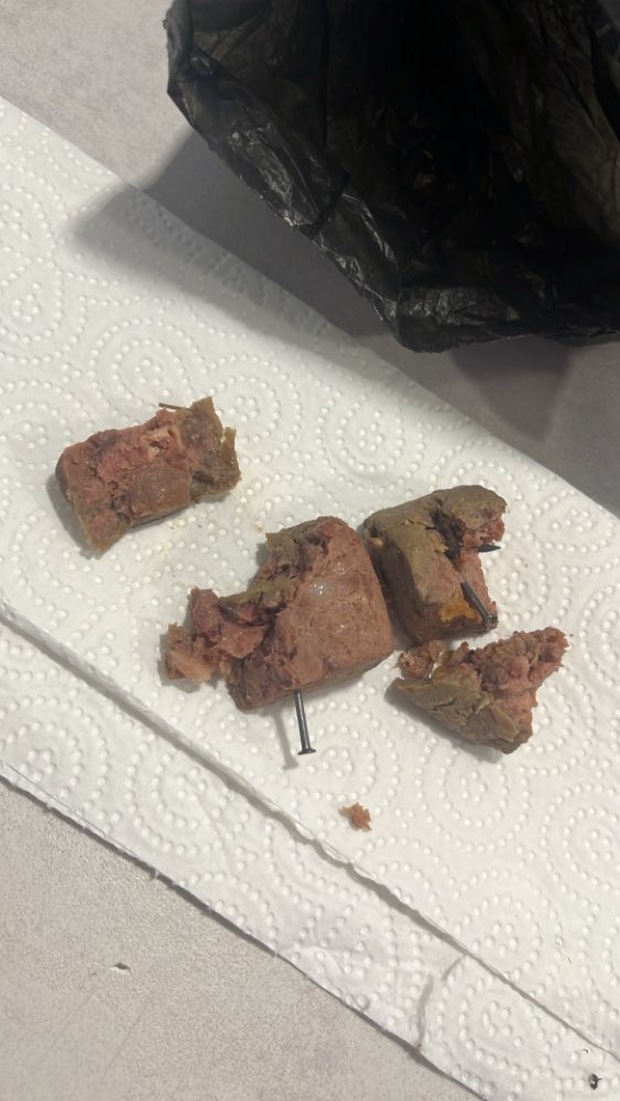 Giftköder-Giftköder in Engstlatt gefunden!!!-Profilbild