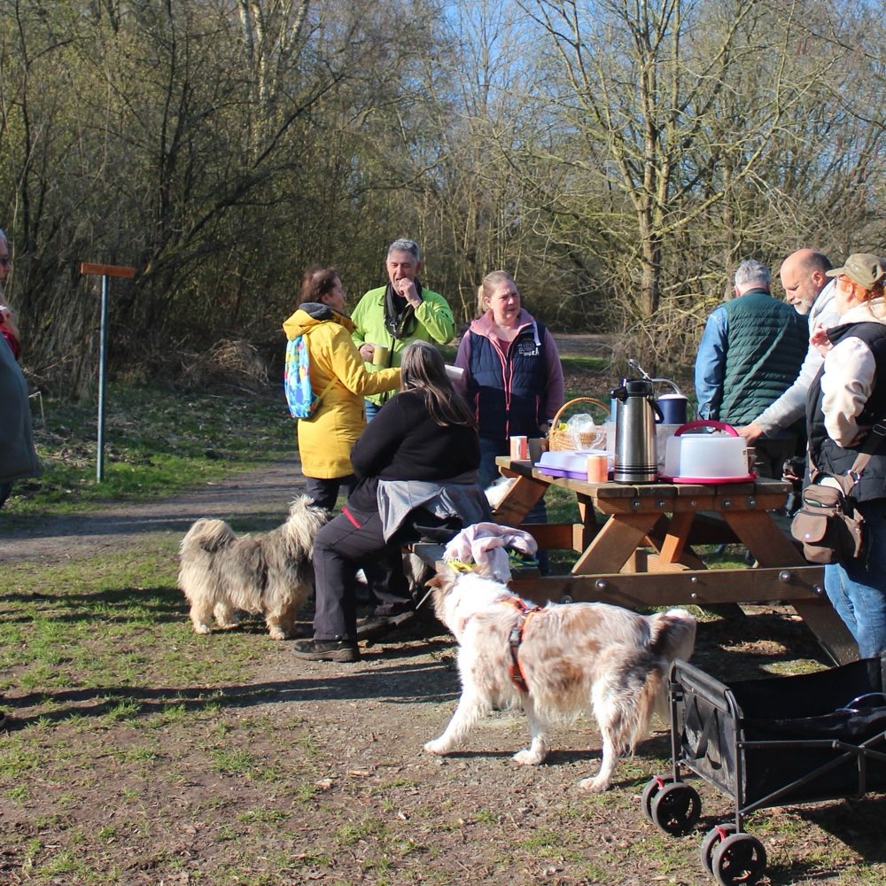 Hundetreffen-Kennenlernen Gassirunde-Profilbild