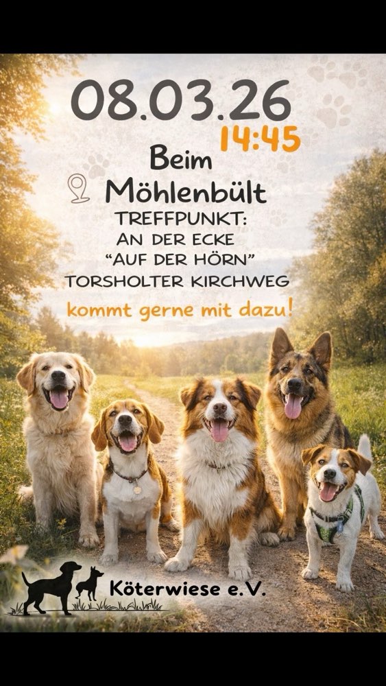 Hundetreffen-Köterwiese e.V.-Profilbild