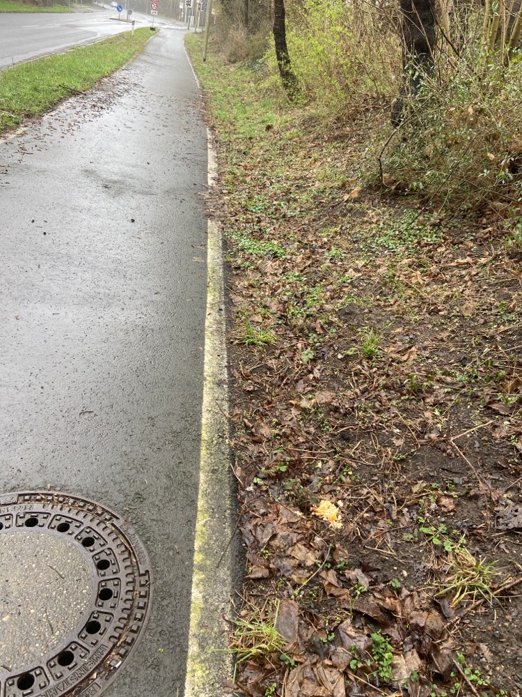 Giftköder-Giftköder-Profilbild