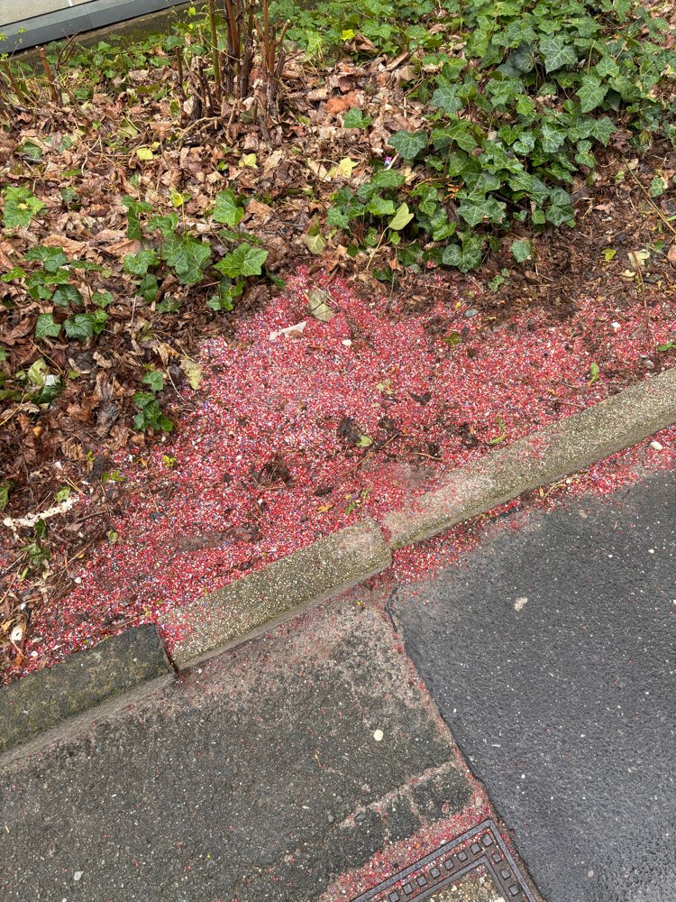 Giftköder-Rattengift-Profilbild