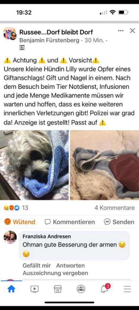 Giftköder-Giftköder-Profilbild